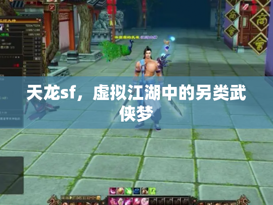 天龙sf，虚拟江湖中的另类武侠梦