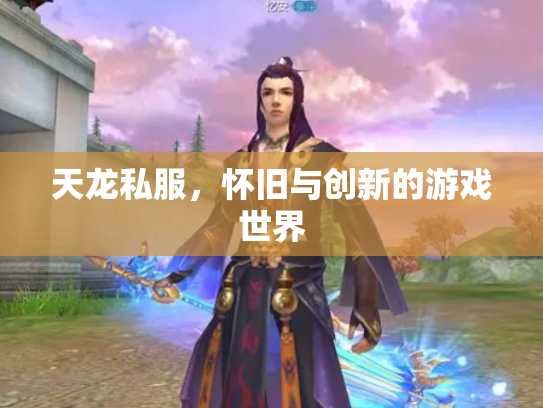 天龙私服，怀旧与创新的游戏世界