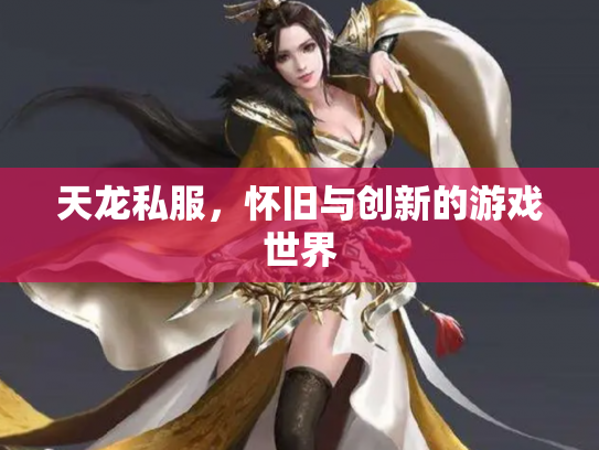 天龙私服，怀旧与创新的游戏世界
