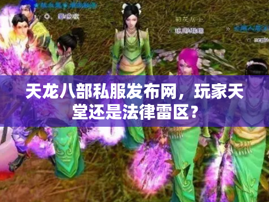 天龙八部私服发布网，玩家天堂还是法律雷区？