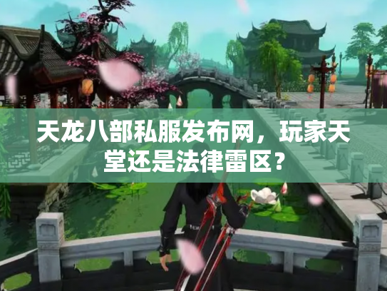 天龙八部私服发布网，玩家天堂还是法律雷区？