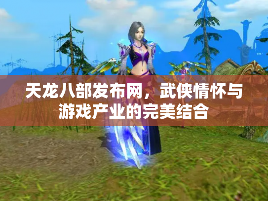 天龙八部发布网，武侠情怀与游戏产业的完美结合