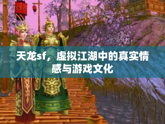 天龙sf，虚拟江湖中的真实情感与游戏文化