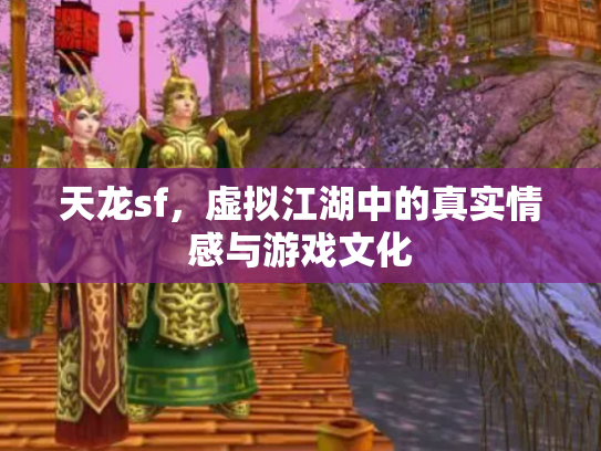 天龙sf，虚拟江湖中的真实情感与游戏文化