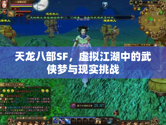 天龙八部SF，虚拟江湖中的武侠梦与现实挑战