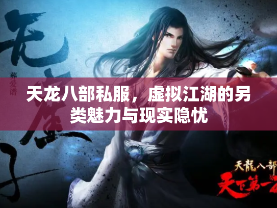 天龙八部私服，虚拟江湖的另类魅力与现实隐忧