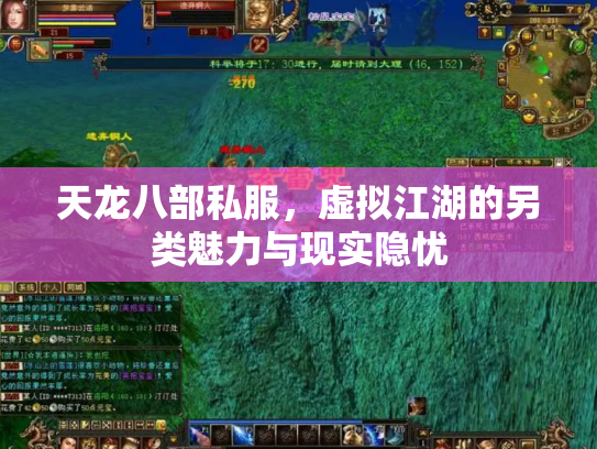 天龙八部私服，虚拟江湖的另类魅力与现实隐忧
