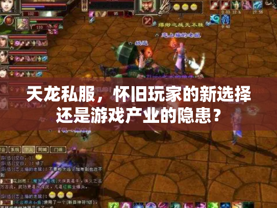 天龙私服，怀旧玩家的新选择还是游戏产业的隐患？