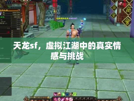 天龙sf，虚拟江湖中的真实情感与挑战