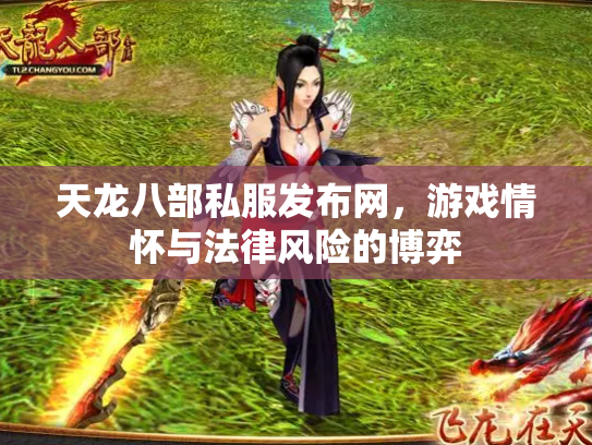 天龙八部私服发布网，游戏情怀与法律风险的博弈