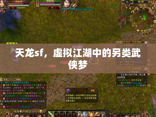 天龙sf，虚拟江湖中的另类武侠梦