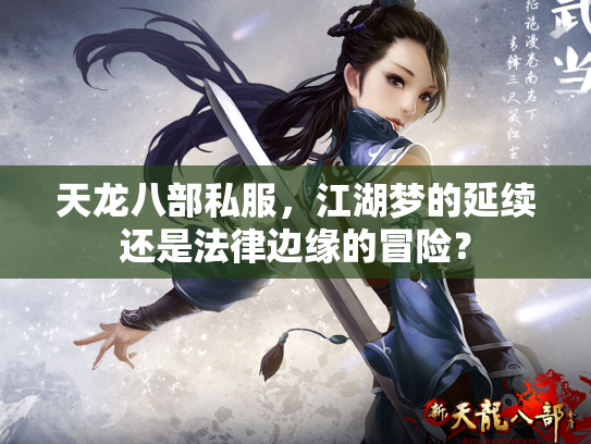 天龙八部私服，江湖梦的延续还是法律边缘的冒险？