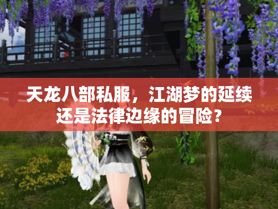 天龙八部私服，江湖梦的延续还是法律边缘的冒险？