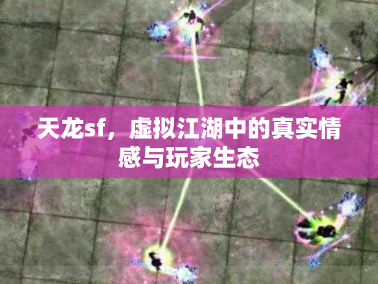天龙sf，虚拟江湖中的真实情感与玩家生态