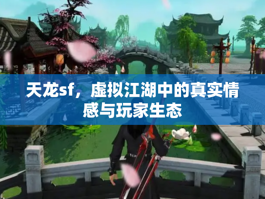 天龙sf，虚拟江湖中的真实情感与玩家生态