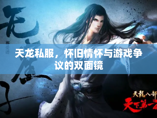 天龙私服，怀旧情怀与游戏争议的双面镜