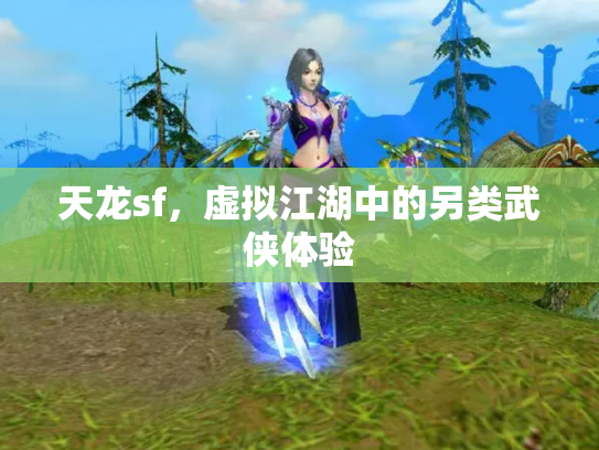 天龙sf，虚拟江湖中的另类武侠体验