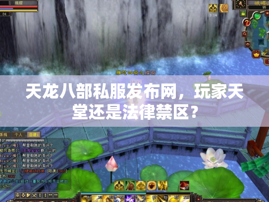 天龙八部私服发布网，玩家天堂还是法律禁区？
