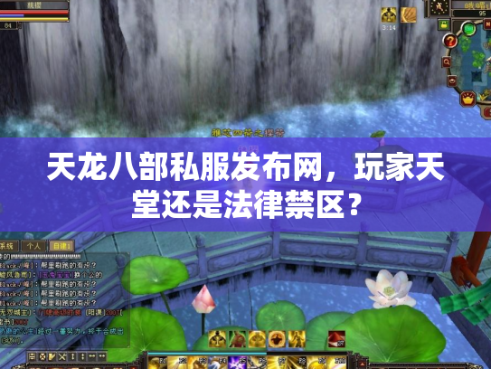天龙八部私服发布网，玩家天堂还是法律禁区？