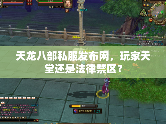 天龙八部私服发布网，玩家天堂还是法律禁区？