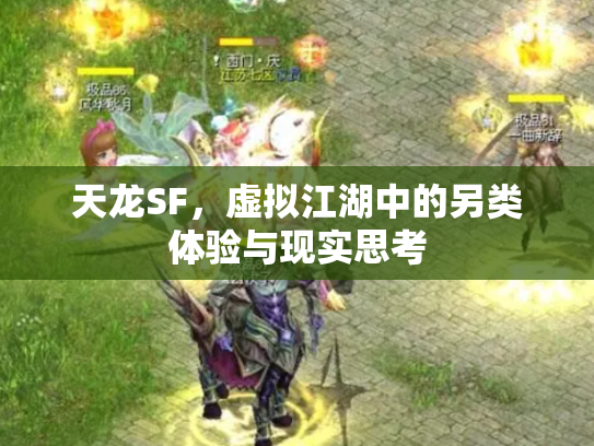 天龙SF，虚拟江湖中的另类体验与现实思考