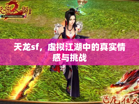 天龙sf，虚拟江湖中的真实情感与挑战