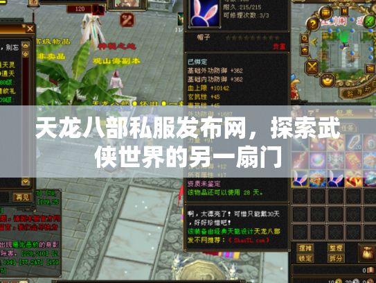 天龙八部私服发布网，探索武侠世界的另一扇门