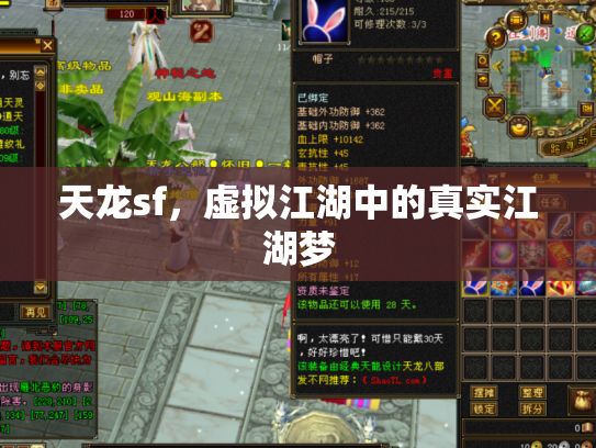 天龙sf，虚拟江湖中的真实江湖梦