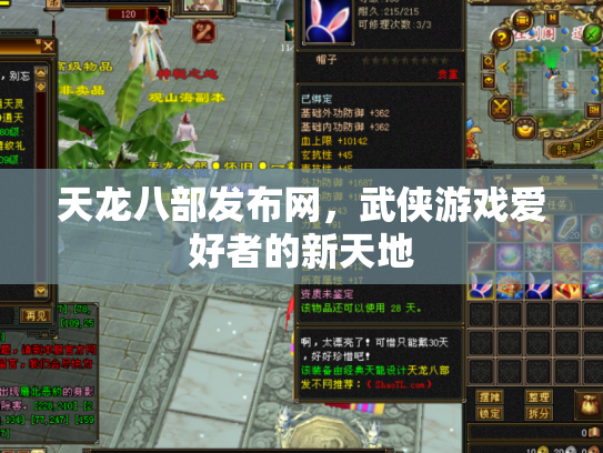 天龙八部发布网，武侠游戏爱好者的新天地