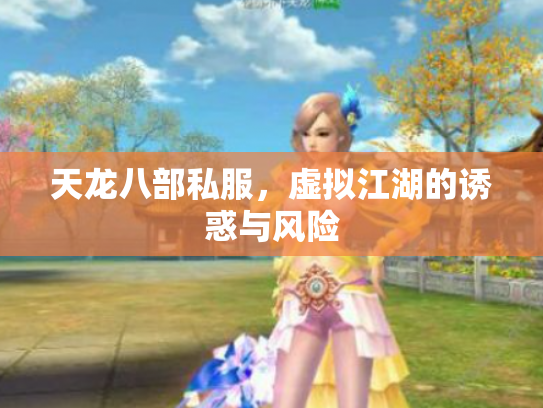 天龙八部私服，虚拟江湖的诱惑与风险