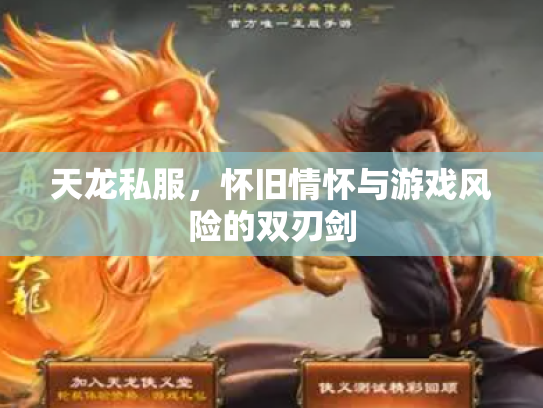 天龙私服，怀旧情怀与游戏风险的双刃剑
