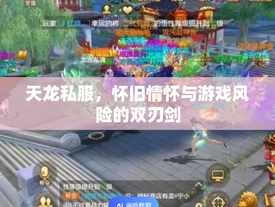 天龙私服，怀旧情怀与游戏风险的双刃剑