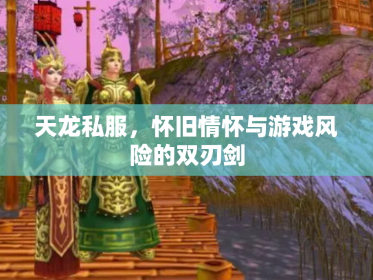 天龙私服，怀旧情怀与游戏风险的双刃剑