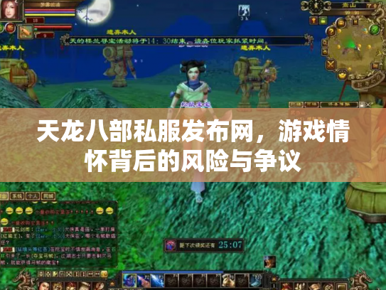 天龙八部私服发布网，游戏情怀背后的风险与争议