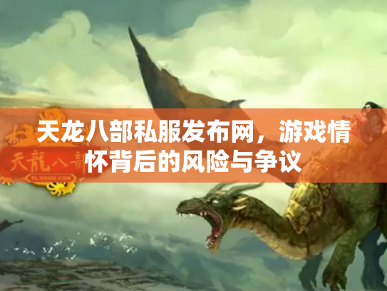 天龙八部私服发布网，游戏情怀背后的风险与争议