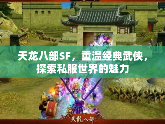 天龙八部SF，重温经典武侠，探索私服世界的魅力