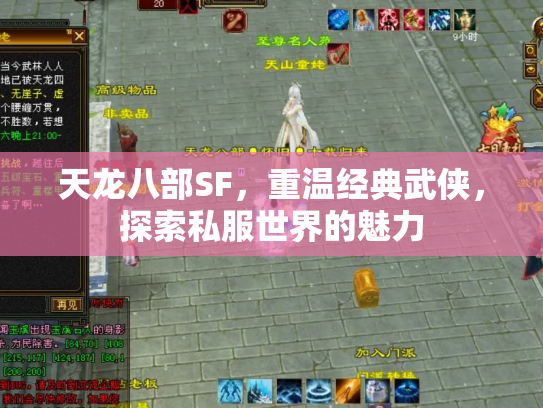 天龙八部SF，重温经典武侠，探索私服世界的魅力