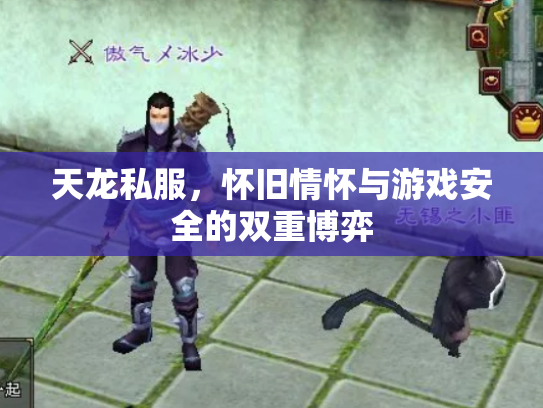 天龙私服，怀旧情怀与游戏安全的双重博弈