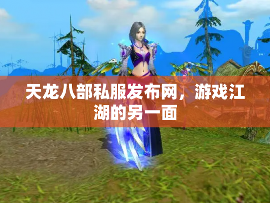天龙八部私服发布网，游戏江湖的另一面