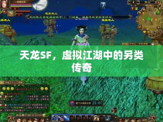 天龙SF，虚拟江湖中的另类传奇