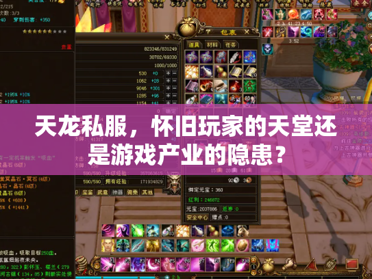 天龙私服，怀旧玩家的天堂还是游戏产业的隐患？