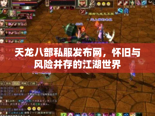 天龙八部私服发布网，怀旧与风险并存的江湖世界
