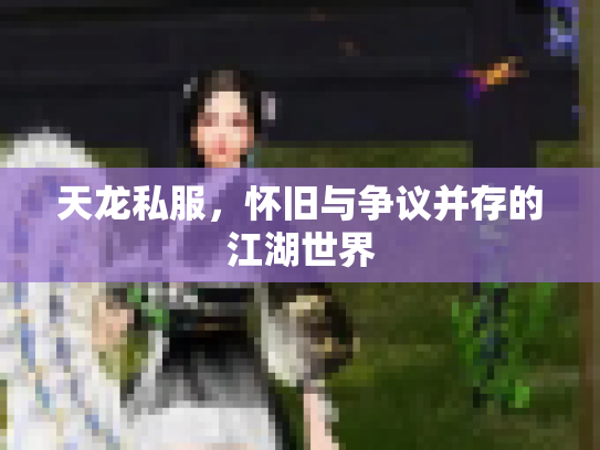 天龙私服，怀旧与争议并存的江湖世界