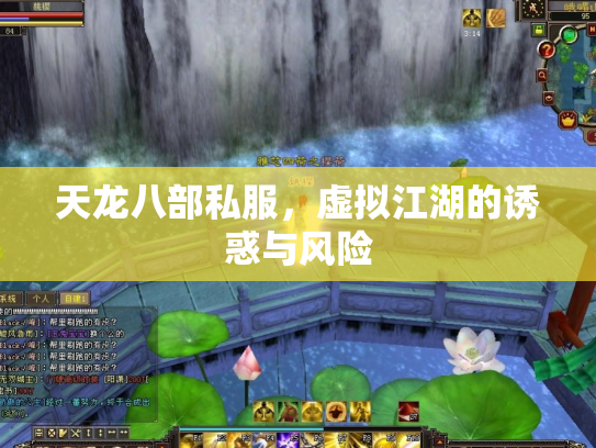 天龙八部私服，虚拟江湖的诱惑与风险