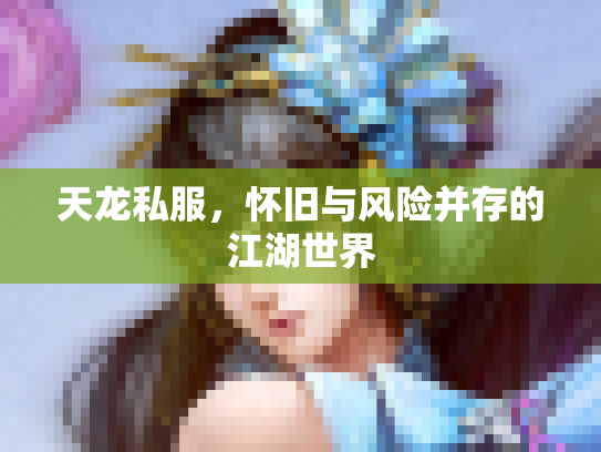 天龙私服，怀旧与风险并存的江湖世界