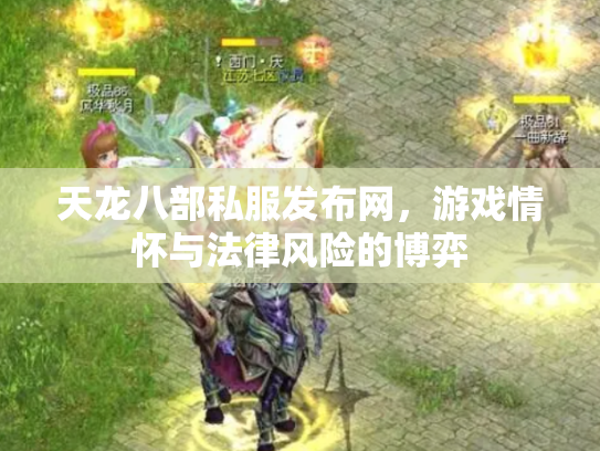 天龙八部私服发布网，游戏情怀与法律风险的博弈