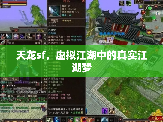 天龙sf，虚拟江湖中的真实江湖梦