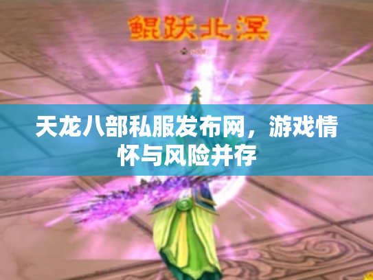 天龙八部私服发布网，游戏情怀与风险并存