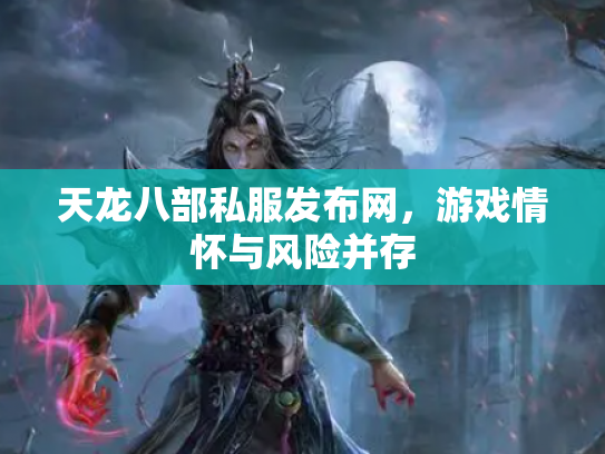 天龙八部私服发布网，游戏情怀与风险并存