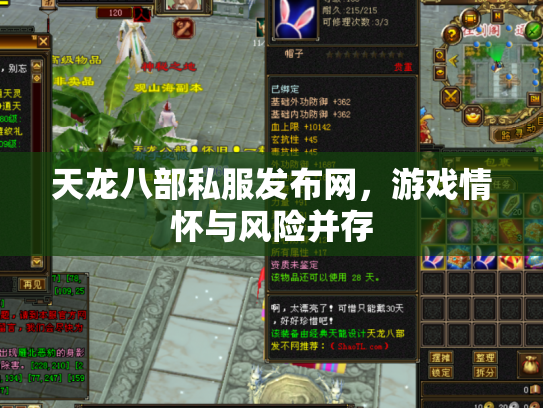 天龙八部私服发布网，游戏情怀与风险并存